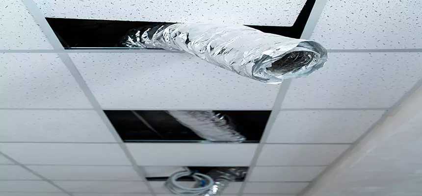 Affordable HVAC Sanitizing After Pest Removal in Huntsville