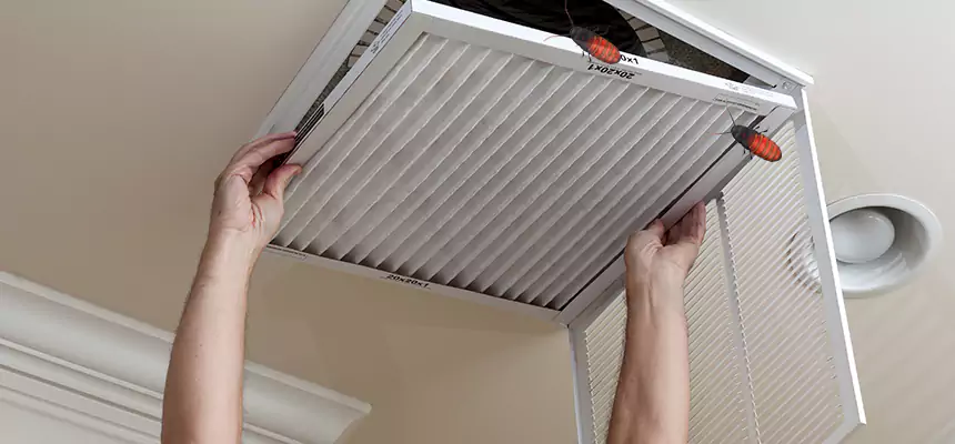 Our Insect Removal from Air Ducts Services in Huntsville, TX