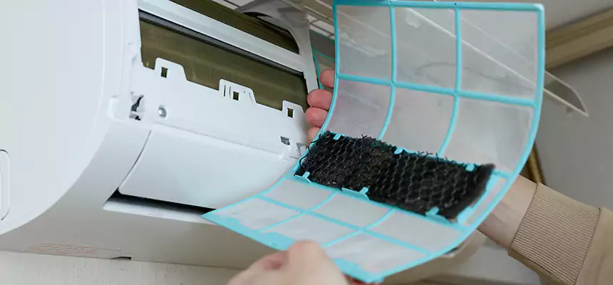 Gentle Ductwork Odor-Control Pet Dander Duct Cleaning in Huntsville, TX