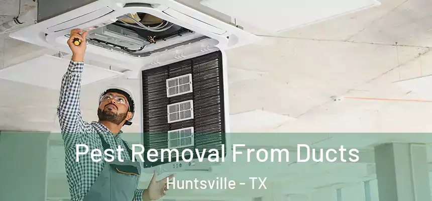  Pest Removal From Ducts Huntsville - TX